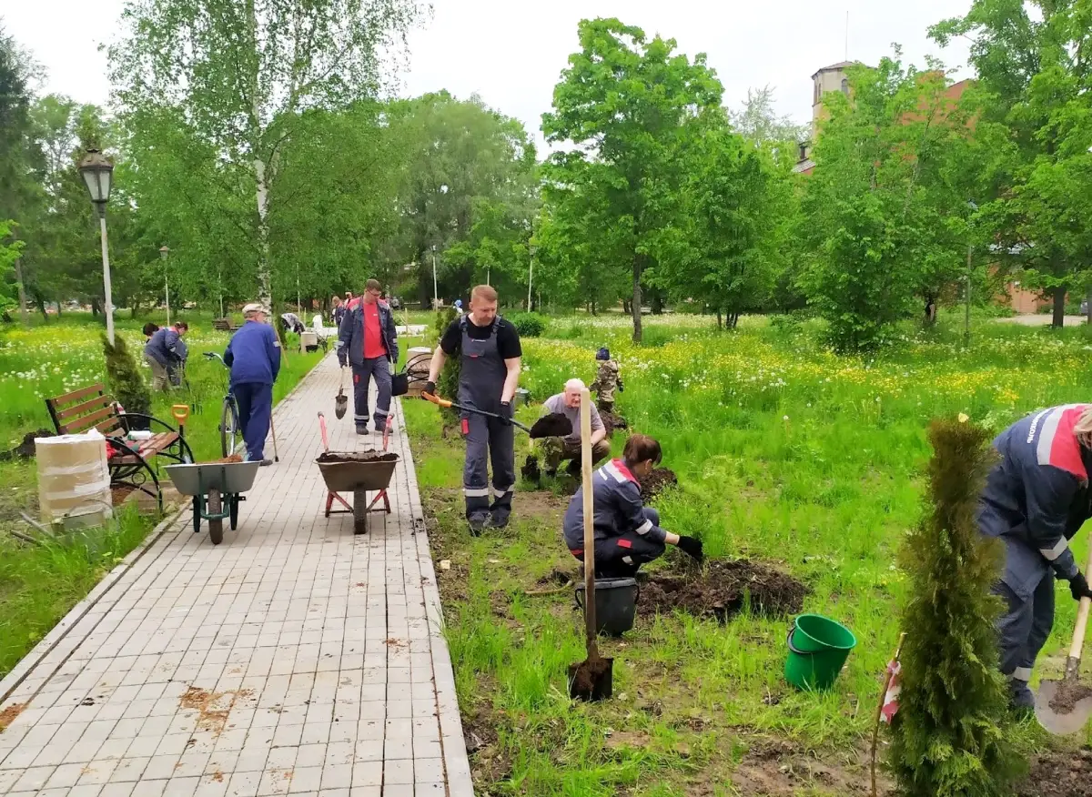 В чудовском посёлке Краснофарфорный появилась «Аллея памяти»