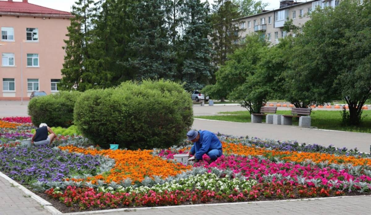 Город Чудово украшают цветами