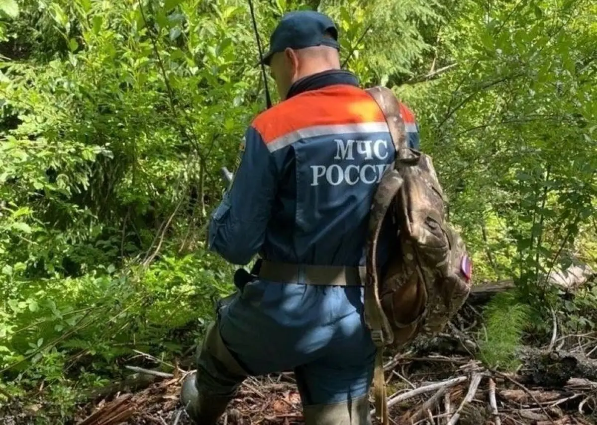 На Новгородчине счастливо закончились истории с потеряшками в лесу и на реке