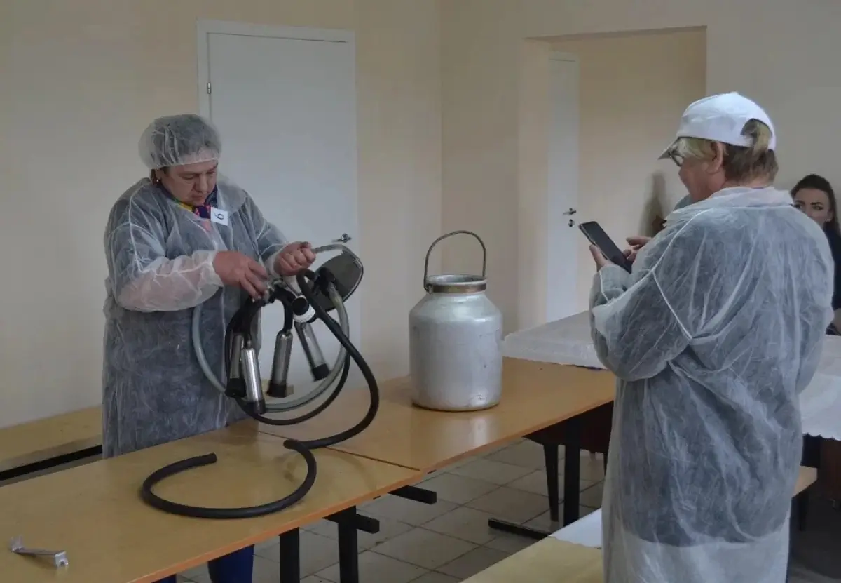 Доярка из Новгородского округа стала лучшей на областном конкурсе