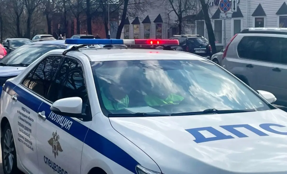 Нетрезвую автоледи-рецидивистку остановили стражи порядка в городе Пестово