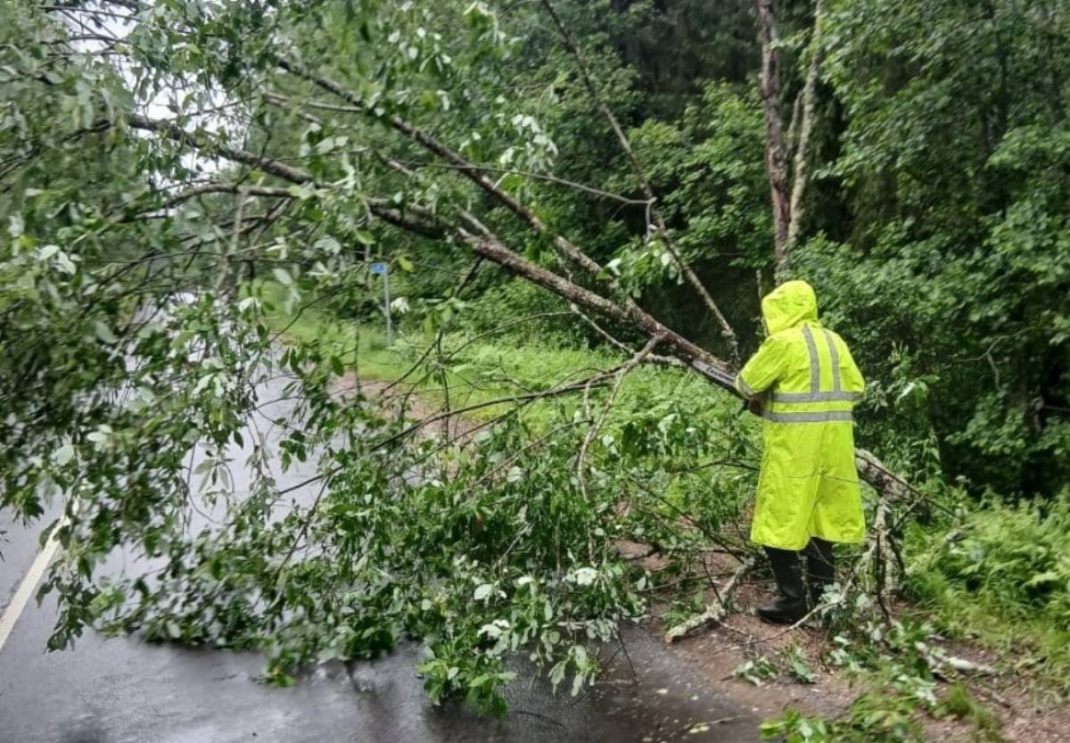 Дорожники устраняют последствия непогоды в Новгородской области