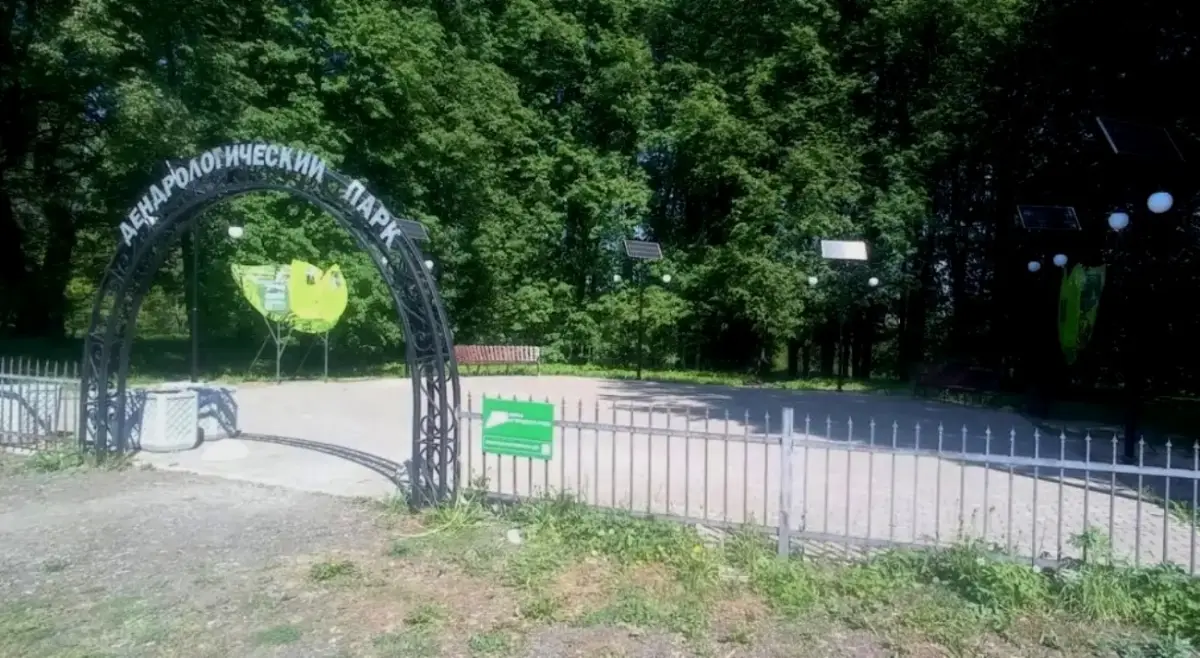 В дендрологическом парке Холма благоустроят зону отдыха