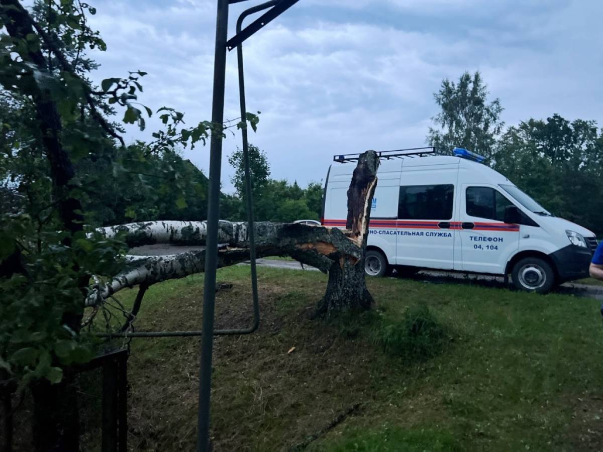 В Новгородской области продолжают устранять последствия сильного шторма