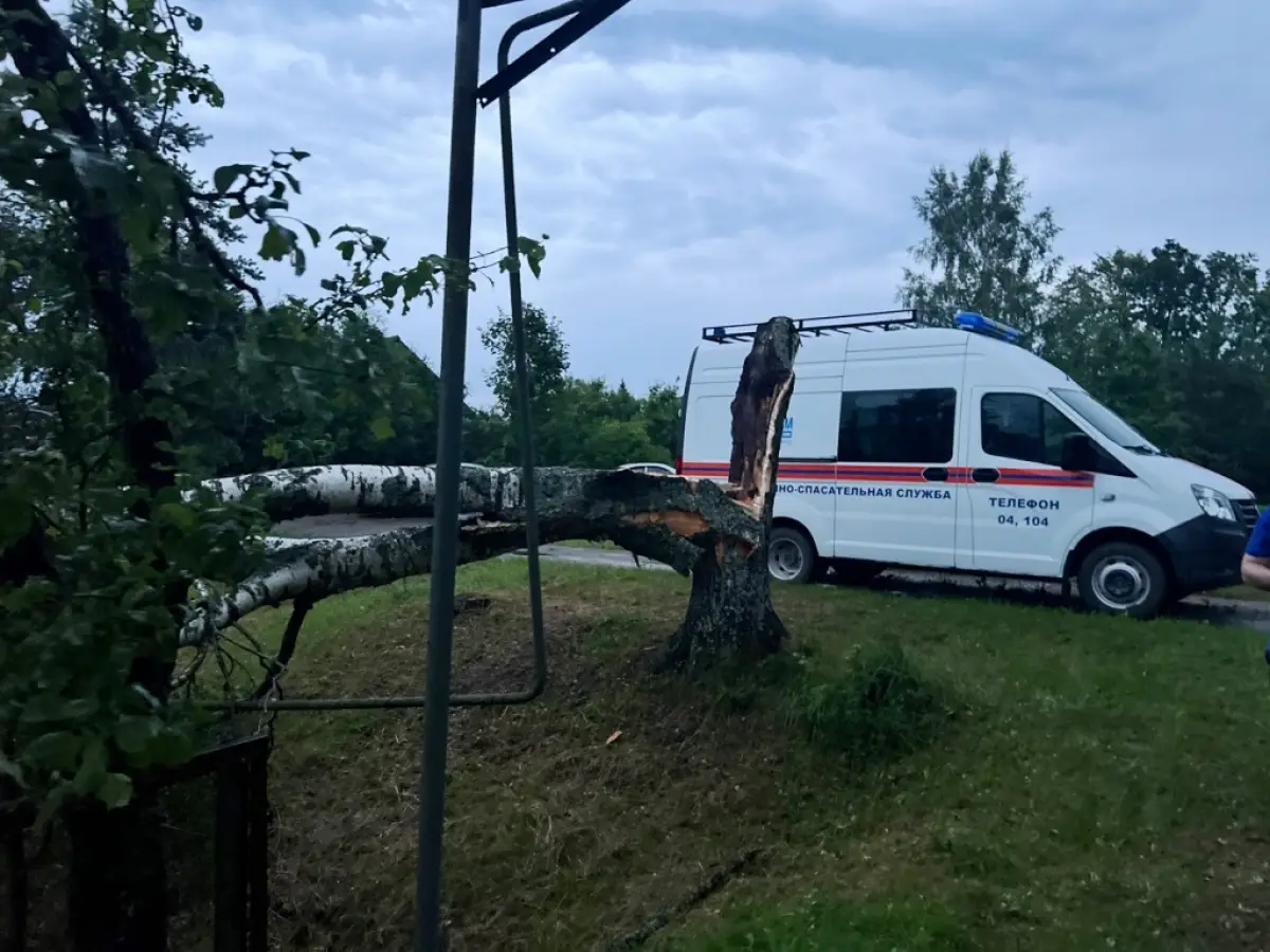 В Новгородской области продолжают устранять последствия сильного шторма