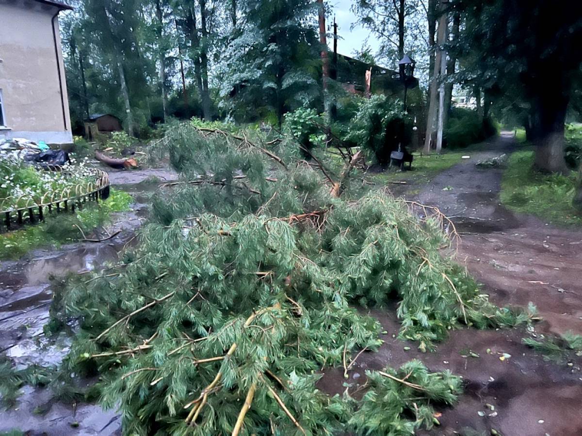 Главы округов Новгородской области сообщают о ситуации с электроснабжением