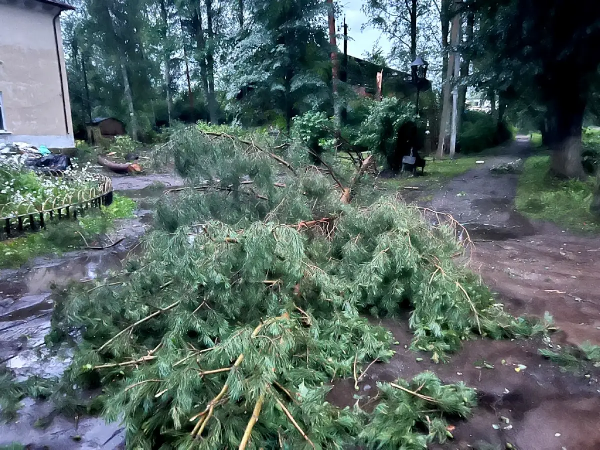 Главы округов Новгородской области сообщают о ситуации с электроснабжением