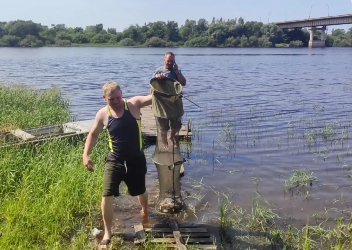 В селе Грузино впервые прошёл фестиваль по рыбной ловле «Волховские берега»