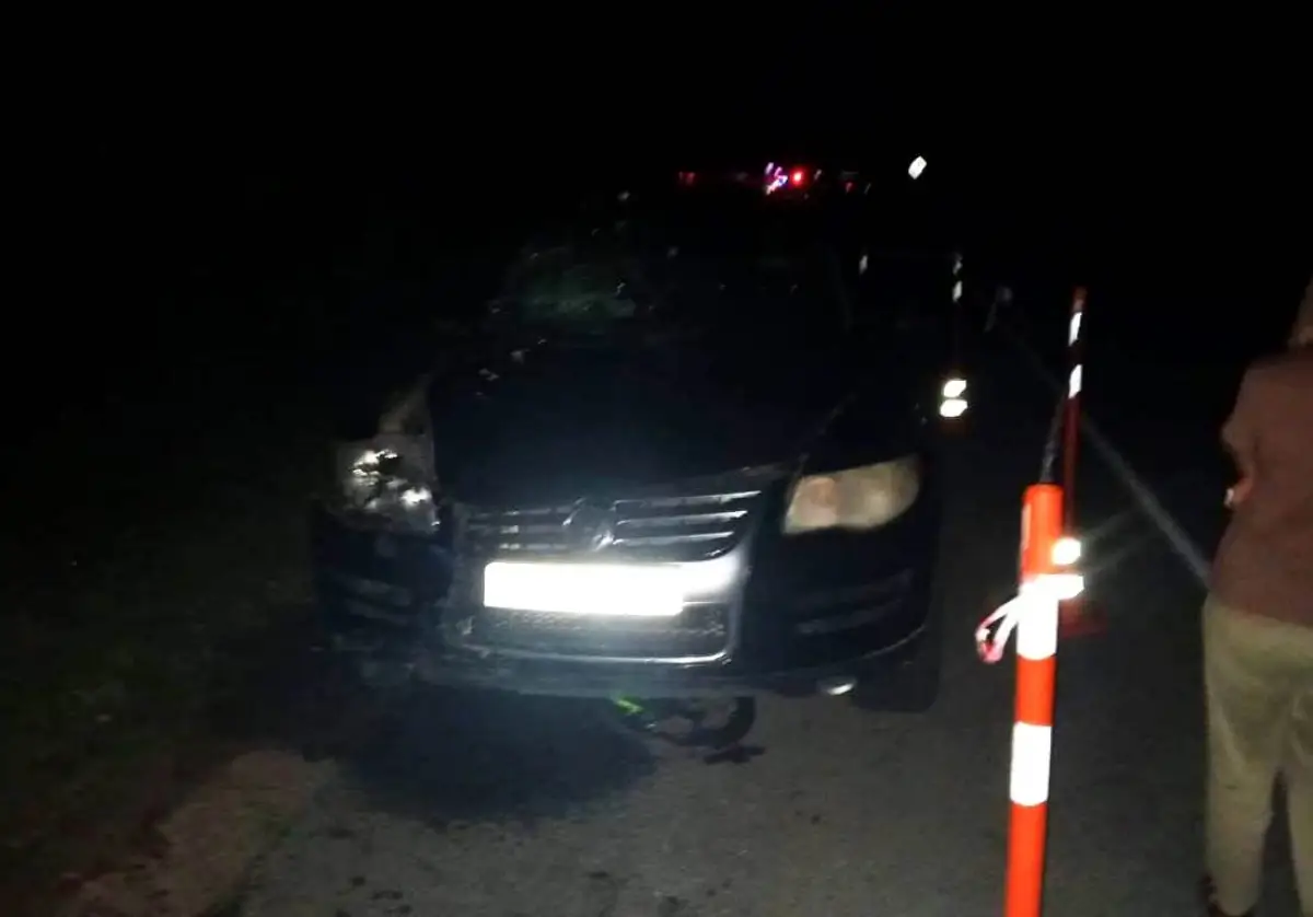 В Новгородской области погибли велосипедисты