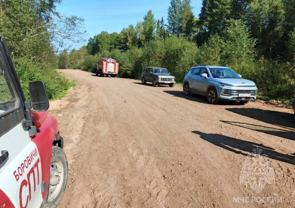 Пропавших в новгородских лесах соседок-пенсионерок удалось найти