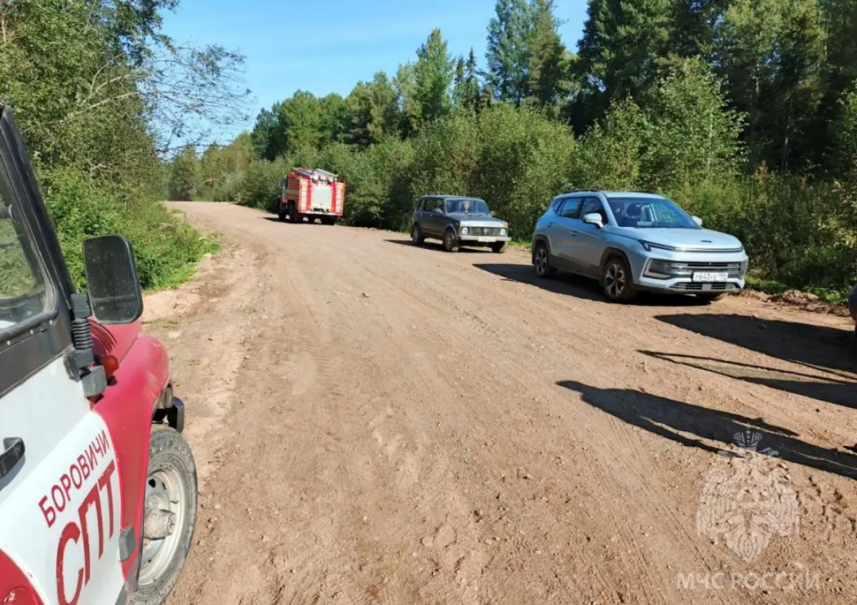Пропавших в новгородских лесах соседок-пенсионерок удалось найти