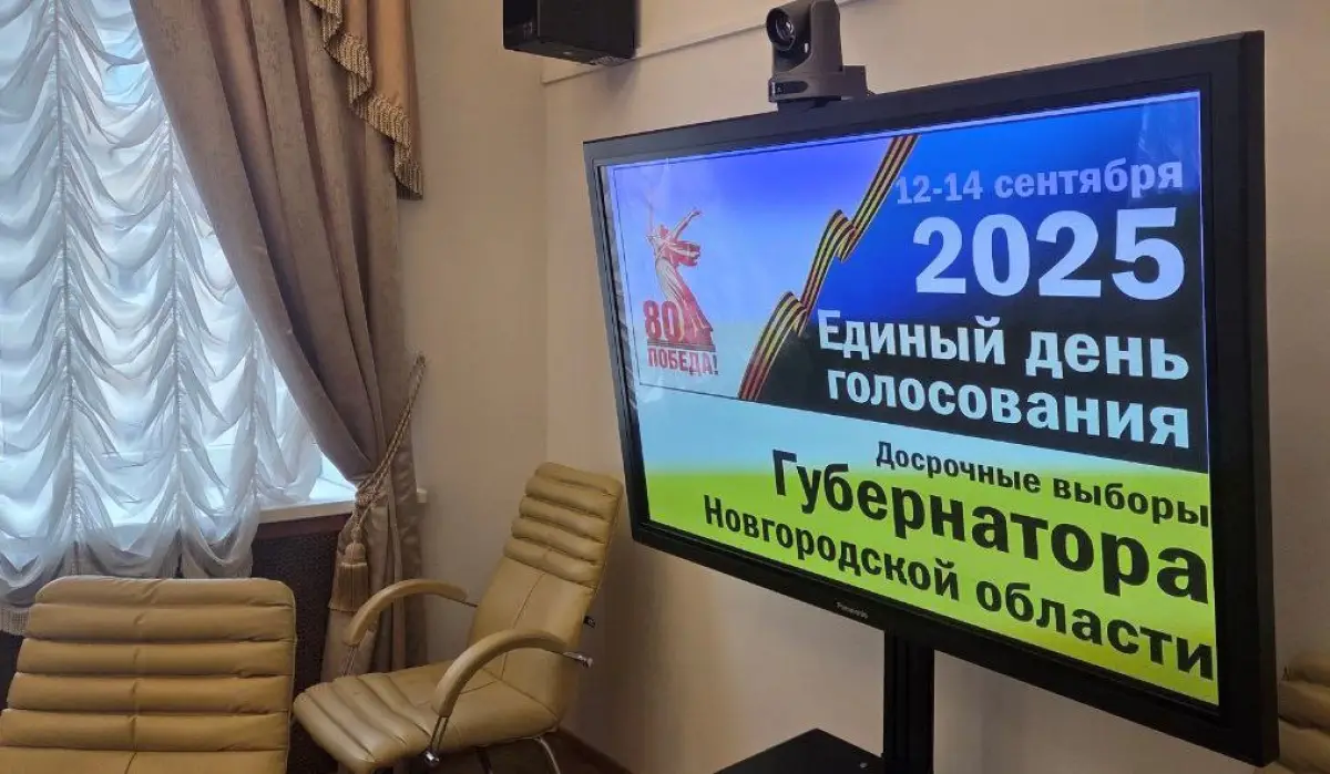 Опубликованы предварительные итоги выборов в Новгородской области на 22:55
