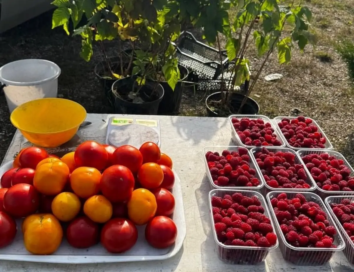 В селе Мошенское состоялась Богородицкая ярмарка урожая