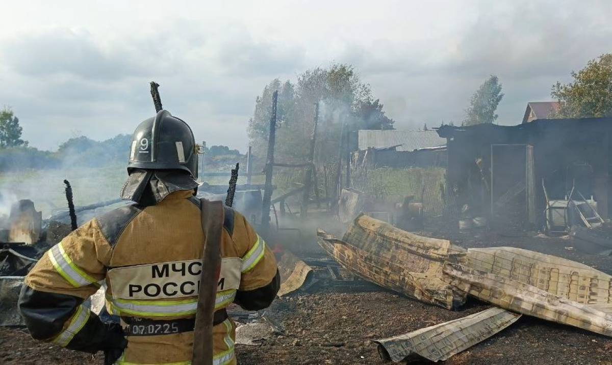 МЧС: в этом году в Новгородской области горели 83 бани