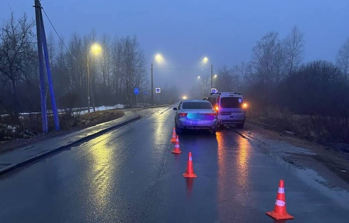 В этой аварии под Великим Новгородом автокресло и ремень безопасности спасли детей.
