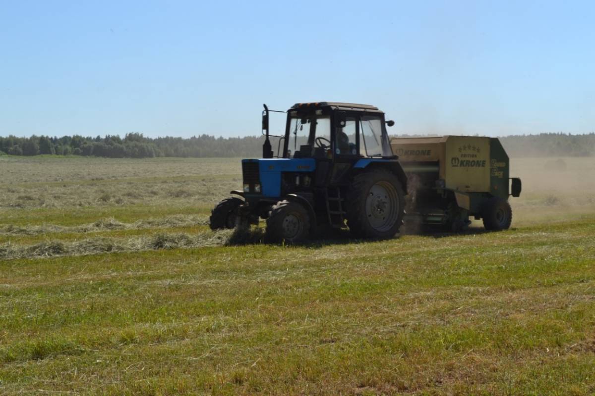 Александр Дронов сообщил о промежуточных итогах непростой уборочной кампании