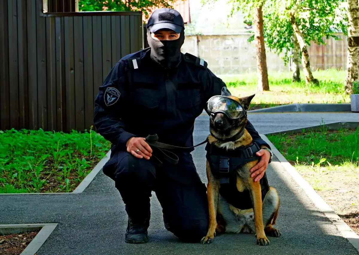 За 8 месяцев служебные собаки Росгвардии обследовали на Новгородчине 263 объекта