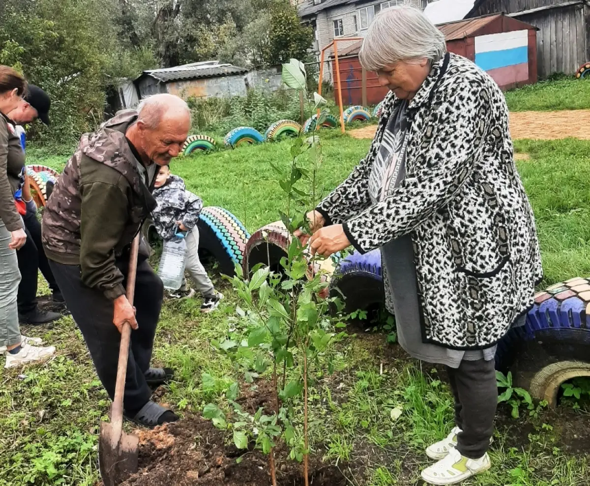 Вишнёвая аллея украcила территорию ТОС «НаМИРа» в посёлке Парфино