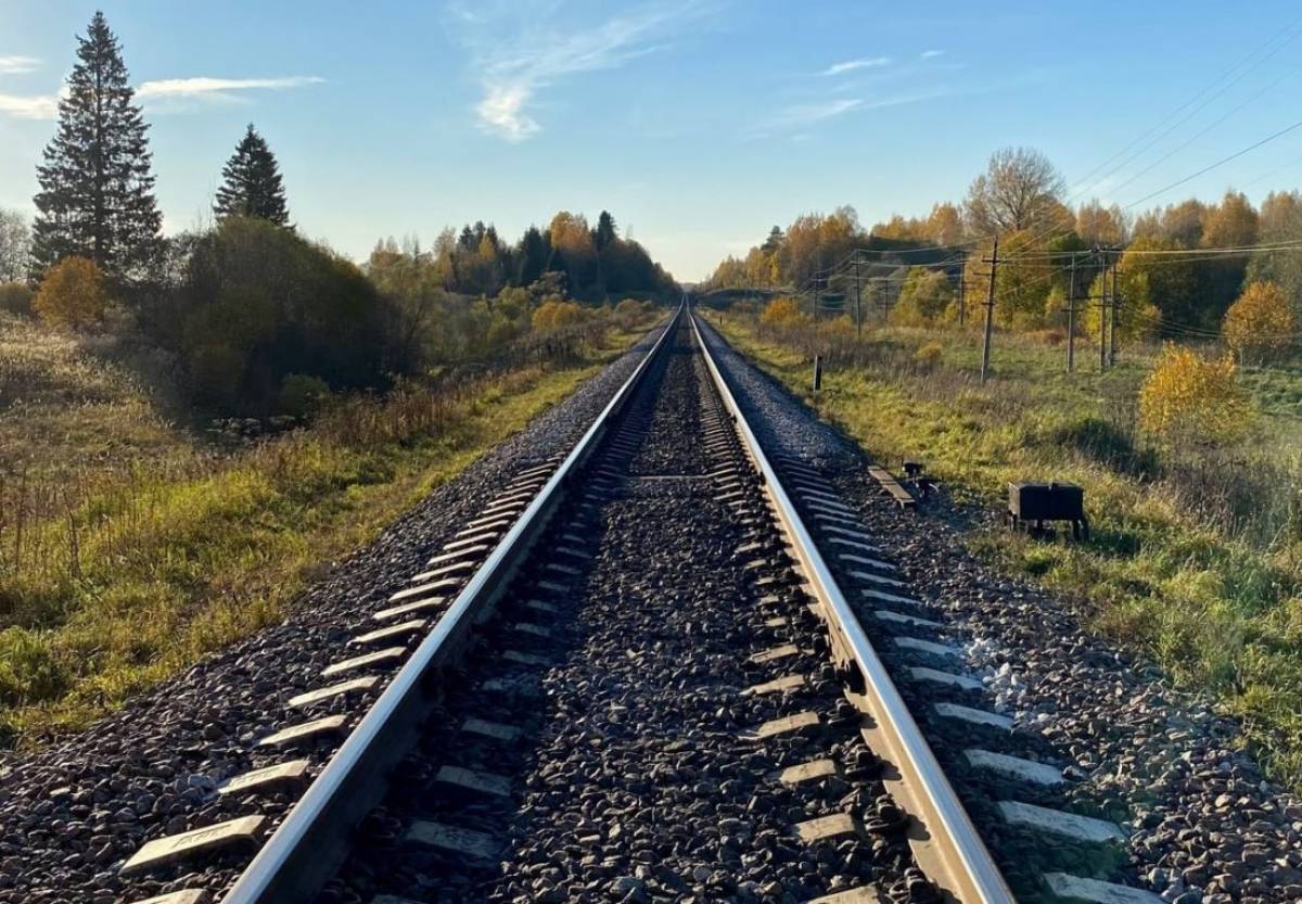 В Новгородской области выпрямили более 53 км железнодорожного пути
