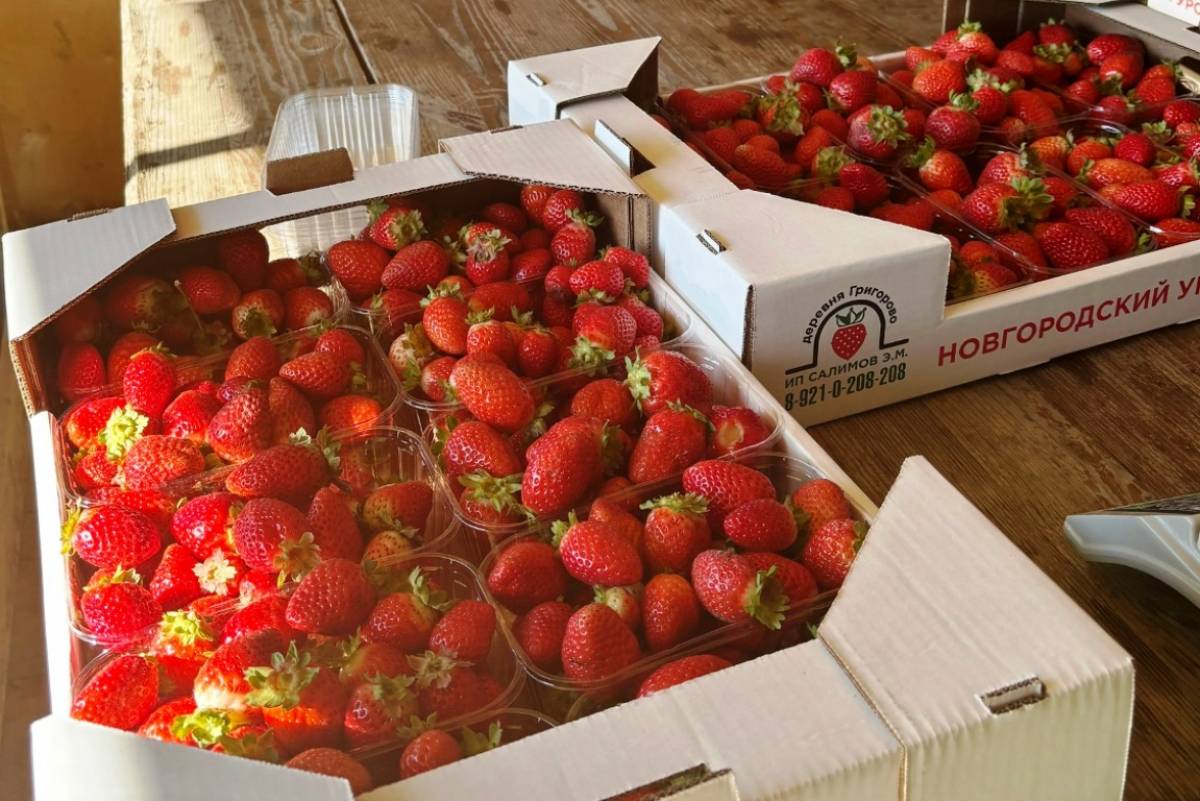 Фотографии минсельхоза Новгородской области