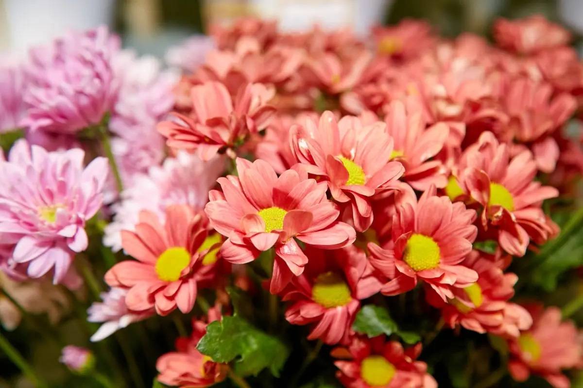 Александр Дронов поздравил новгородских педагогов с Днём учителя