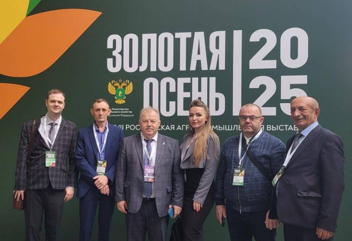 Фотографии: ТГ-канал Александра Дронова