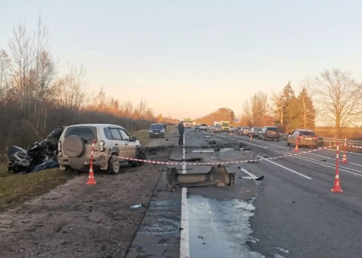 Обгон на трассе в Шимском округе привёл к гибели целой семьи