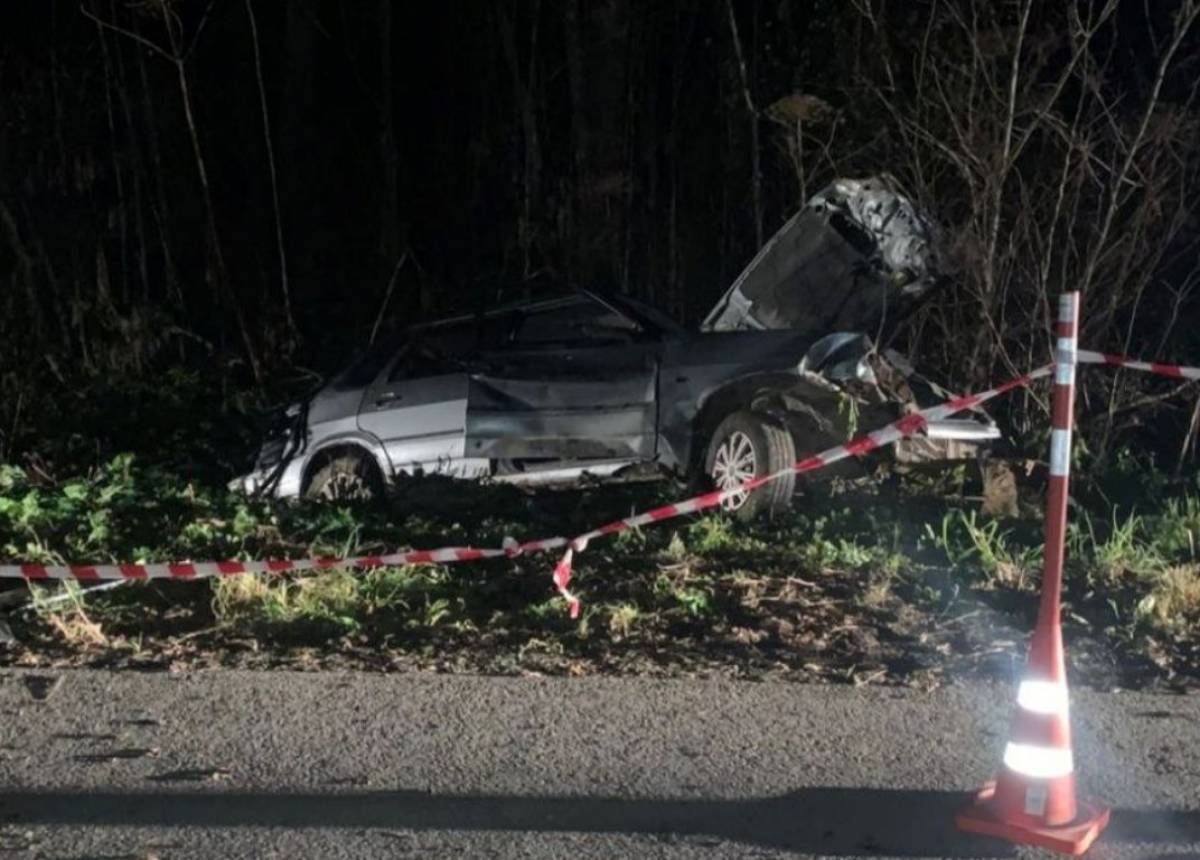 В Шимском округе в ДТП погиб пассажир «Лады». Водитель был пьян