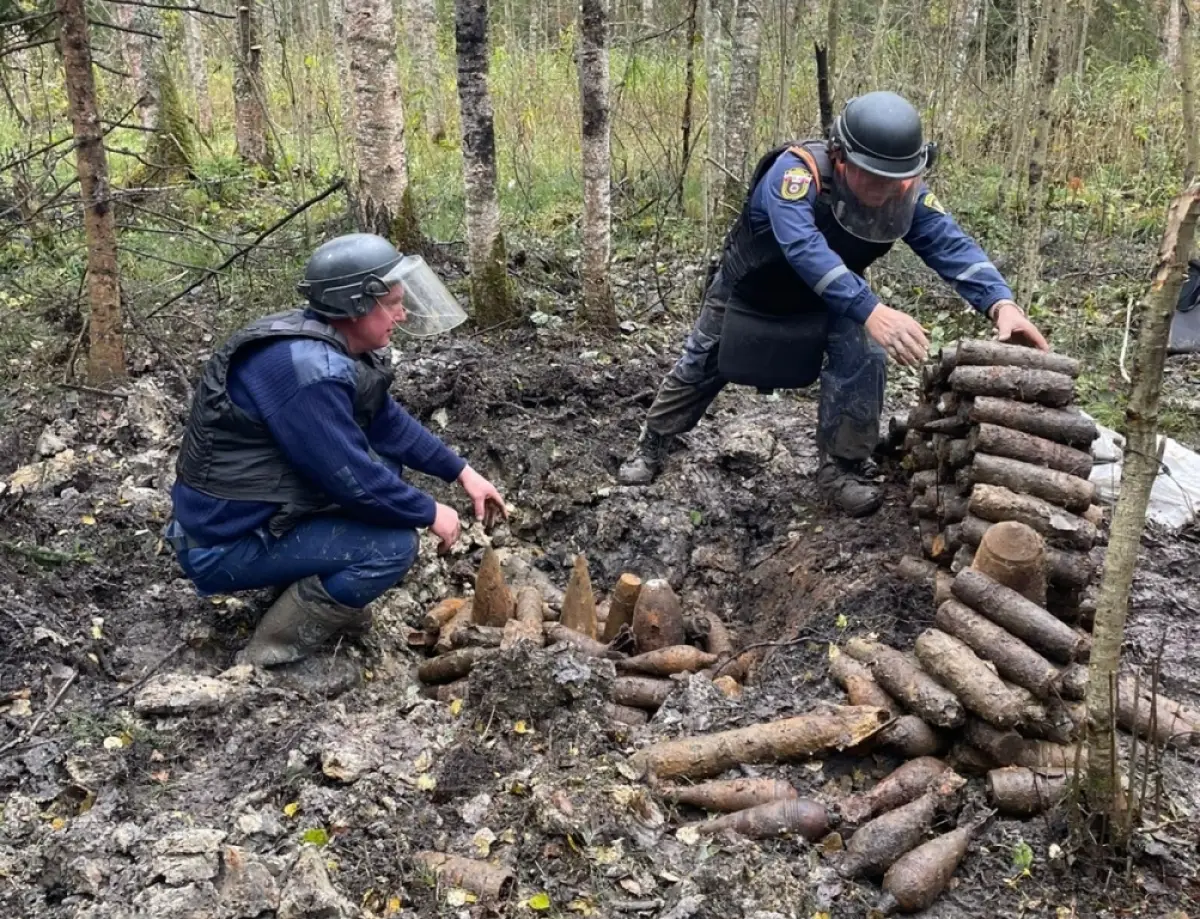 В Новгородском округе нашли большой склад снарядов времён войны