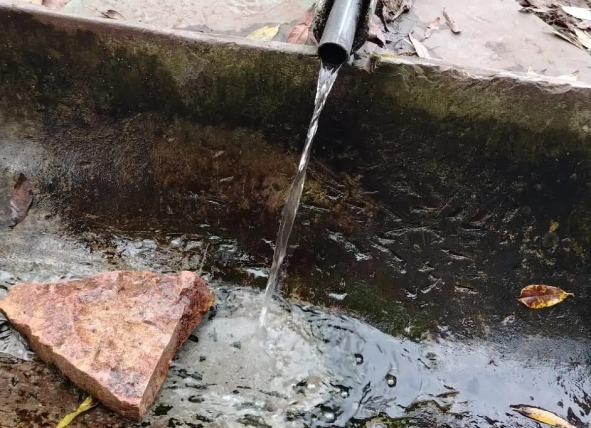 В Шимском округе может появиться благоустроенный родник