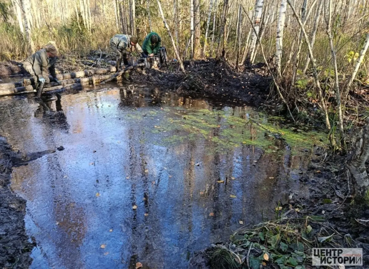 Под Демянском завершилась экспедиция на месте падения истребителя «Киттихаук»