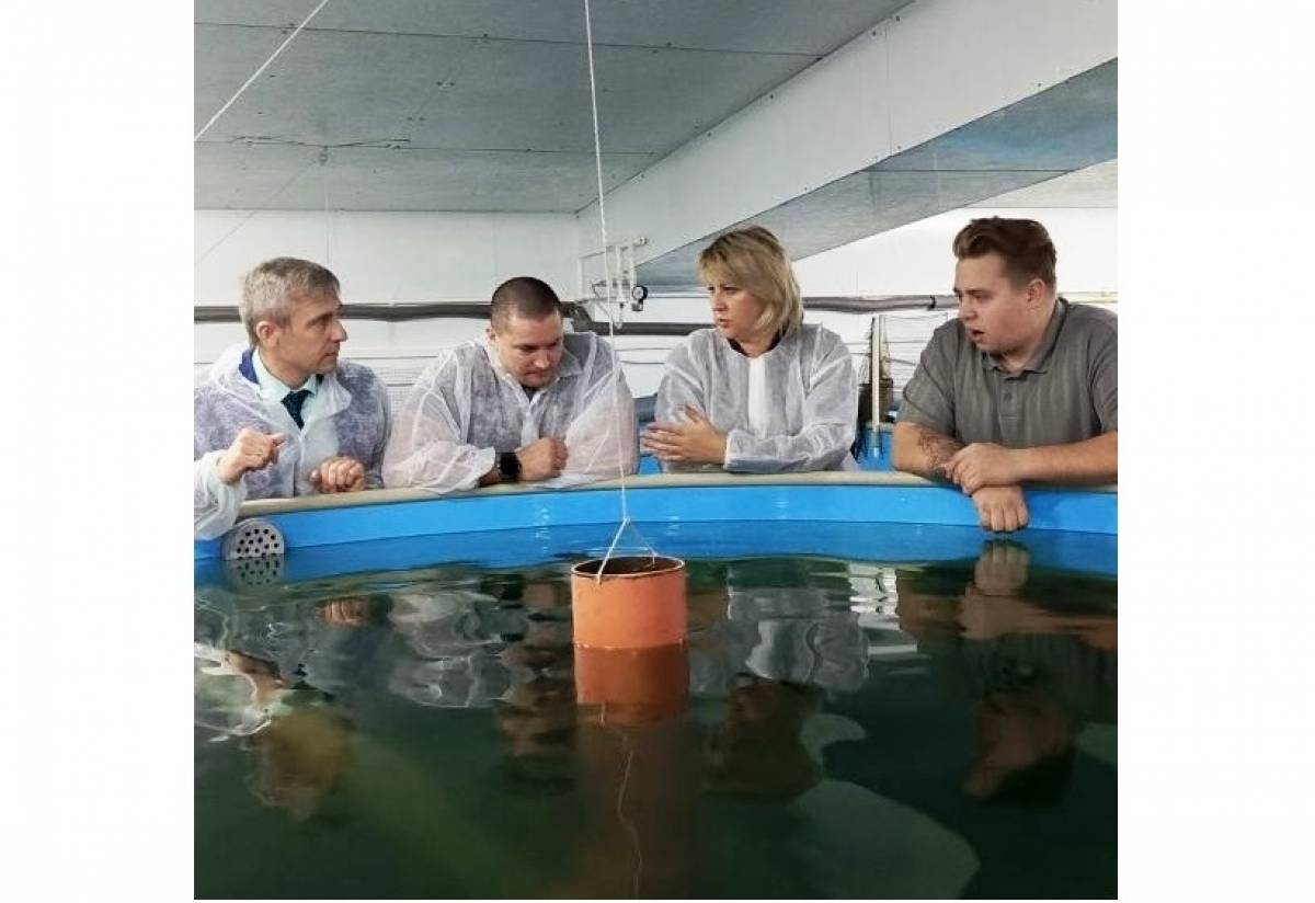 Участник проекта «СВОи Герои 53» побывал на рыборазводном предприятии