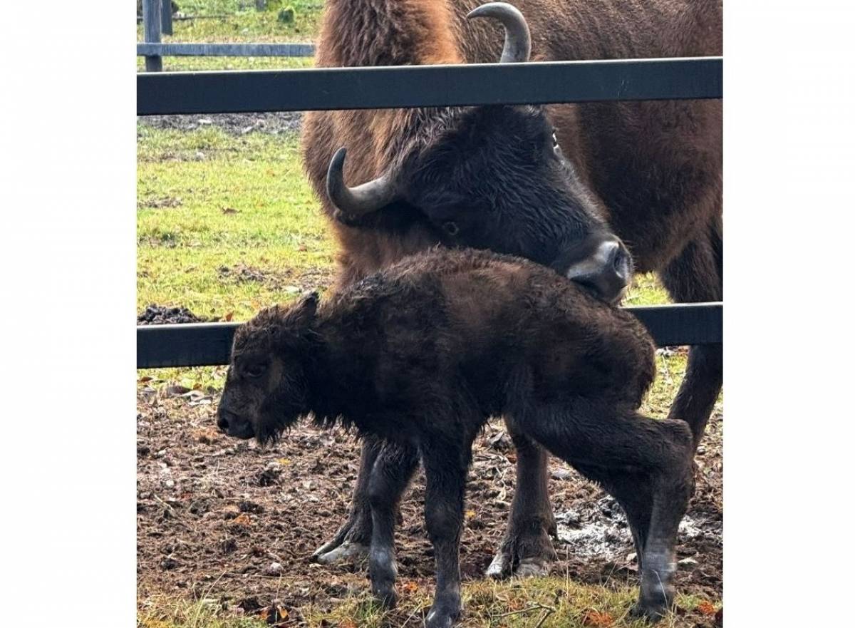 Фотографии предоставлены Дарьей Захаровой
