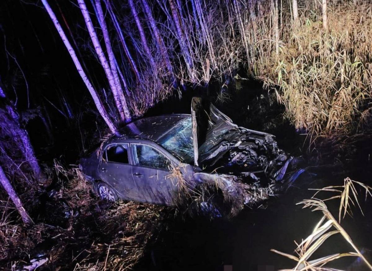 Под Великим Новгородом погиб водитель иномарки, его пассажиры пострадали