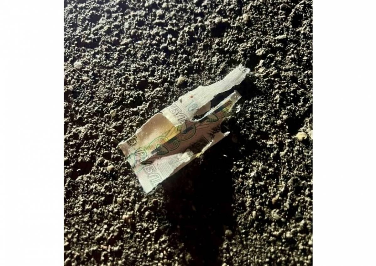 Новгородский детский омбудсмен прокомментировала трагедию в Красногорске