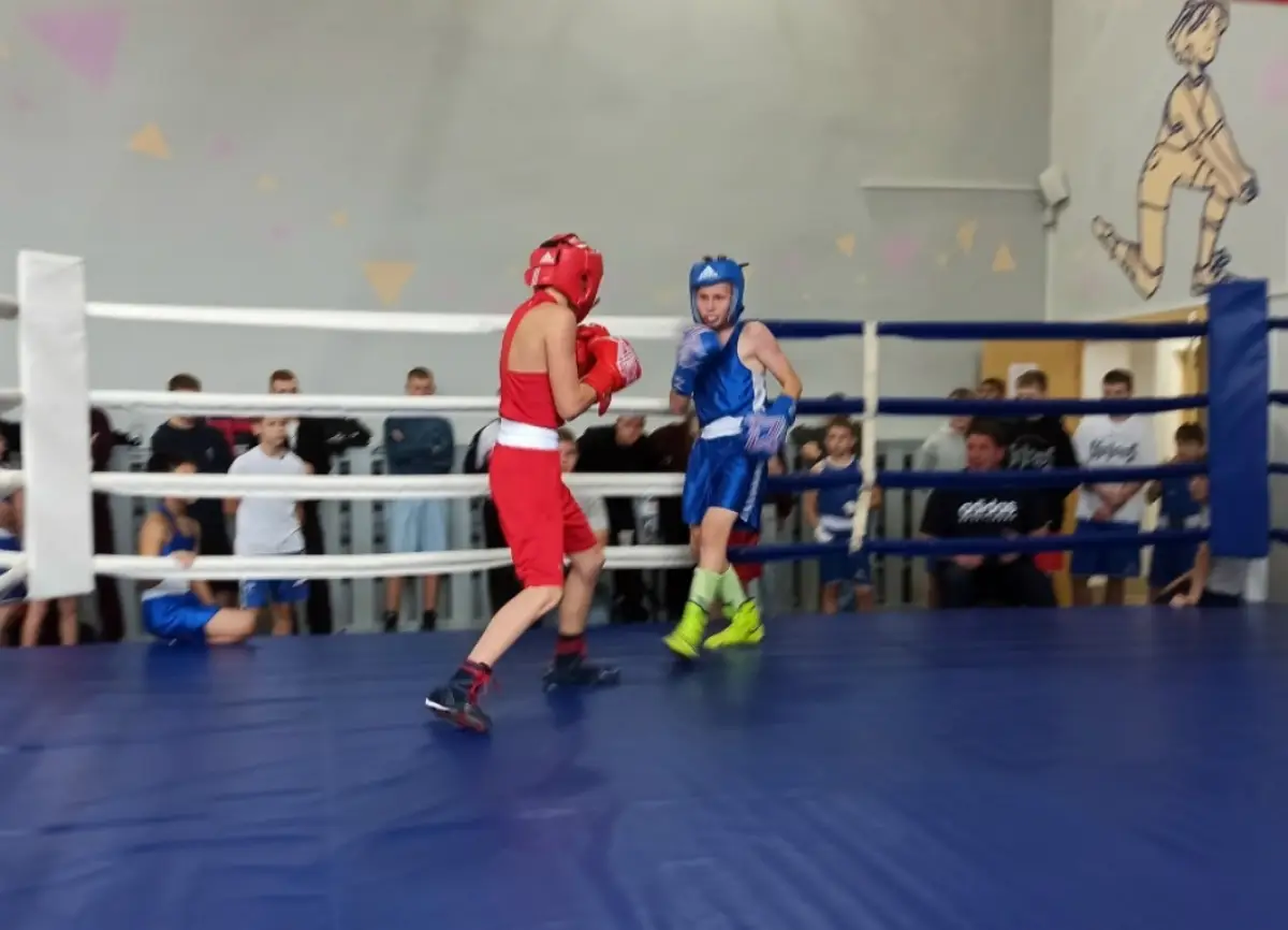 Юбилейный турнир по боксу в Чудово собрал участников из разных уголков области