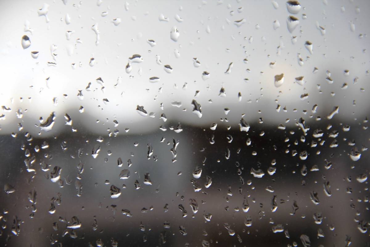 Непогода оставила без электричества 72 населённых пункта в Новгородской области