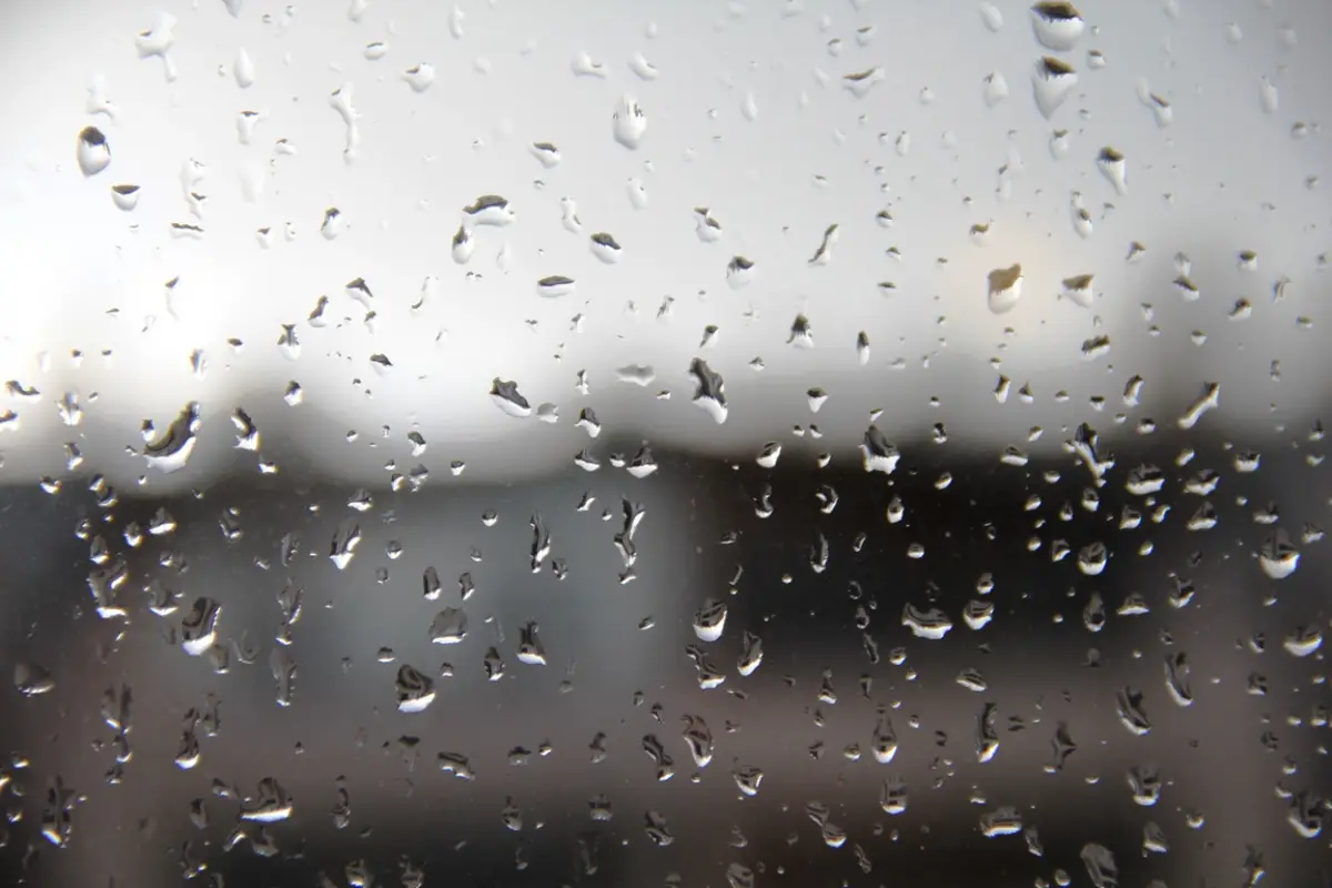 Непогода оставила без электричества 72 населённых пункта в Новгородской области