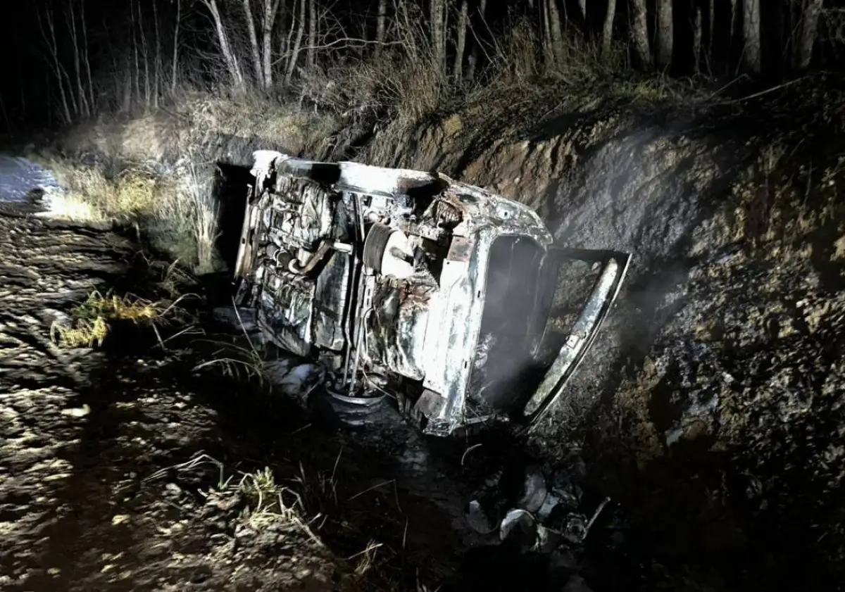 В Пестовском округе «Шевроле» опрокинулся в кювете и загорелся