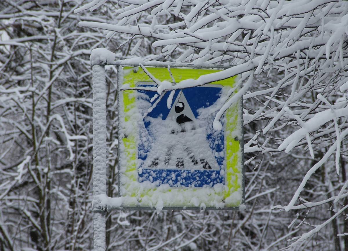 Пожилые водители и пешеходы должны быть предельно внимательными