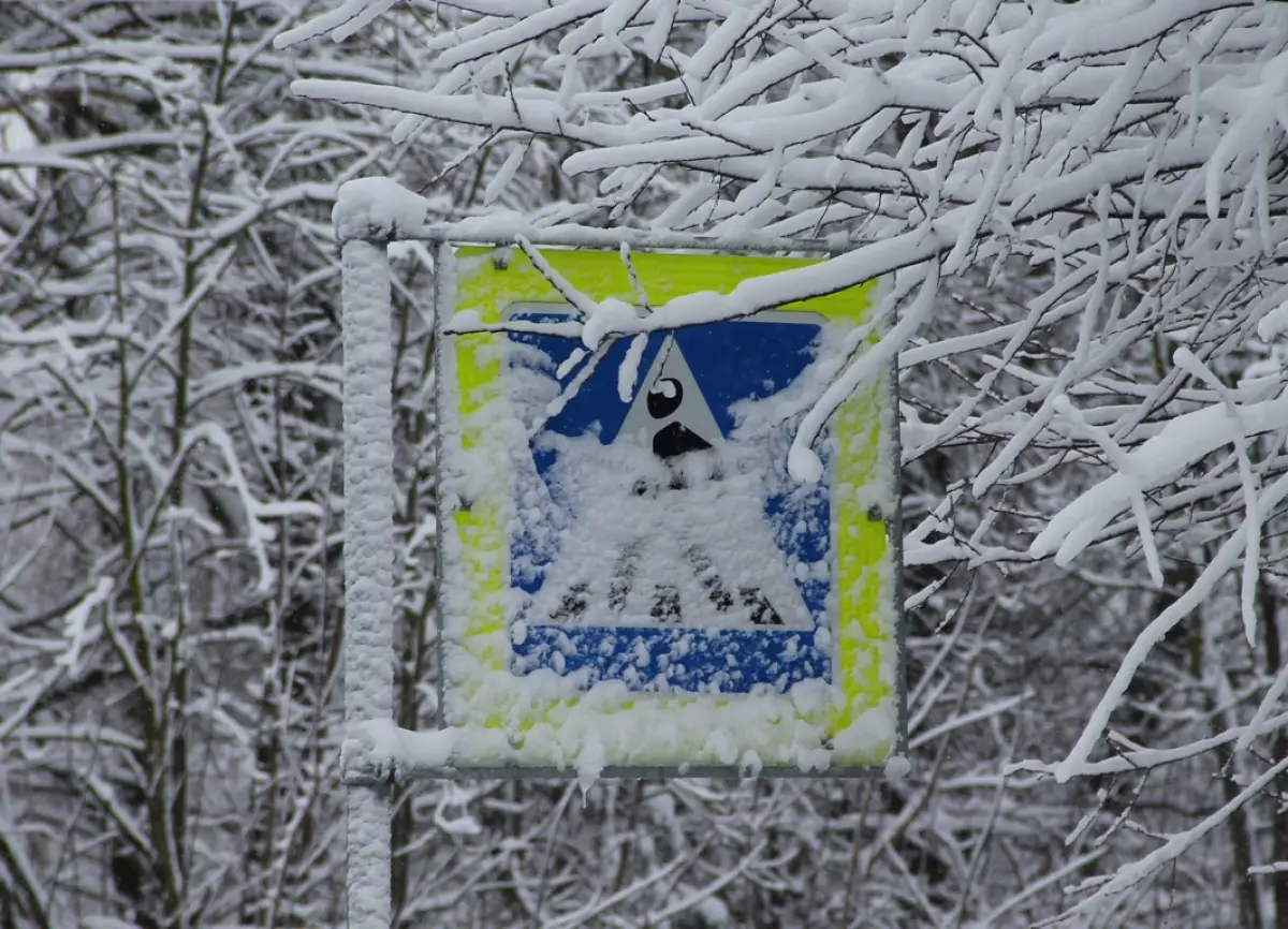 Пожилые водители и пешеходы должны быть предельно внимательными