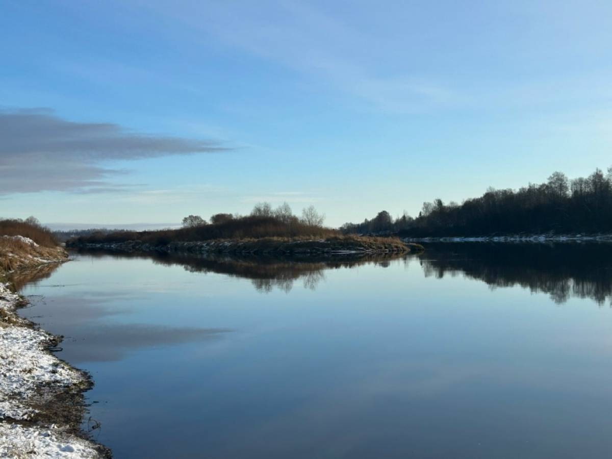 В Сольцах приступили к расчистке и углублению дна реки Шелонь