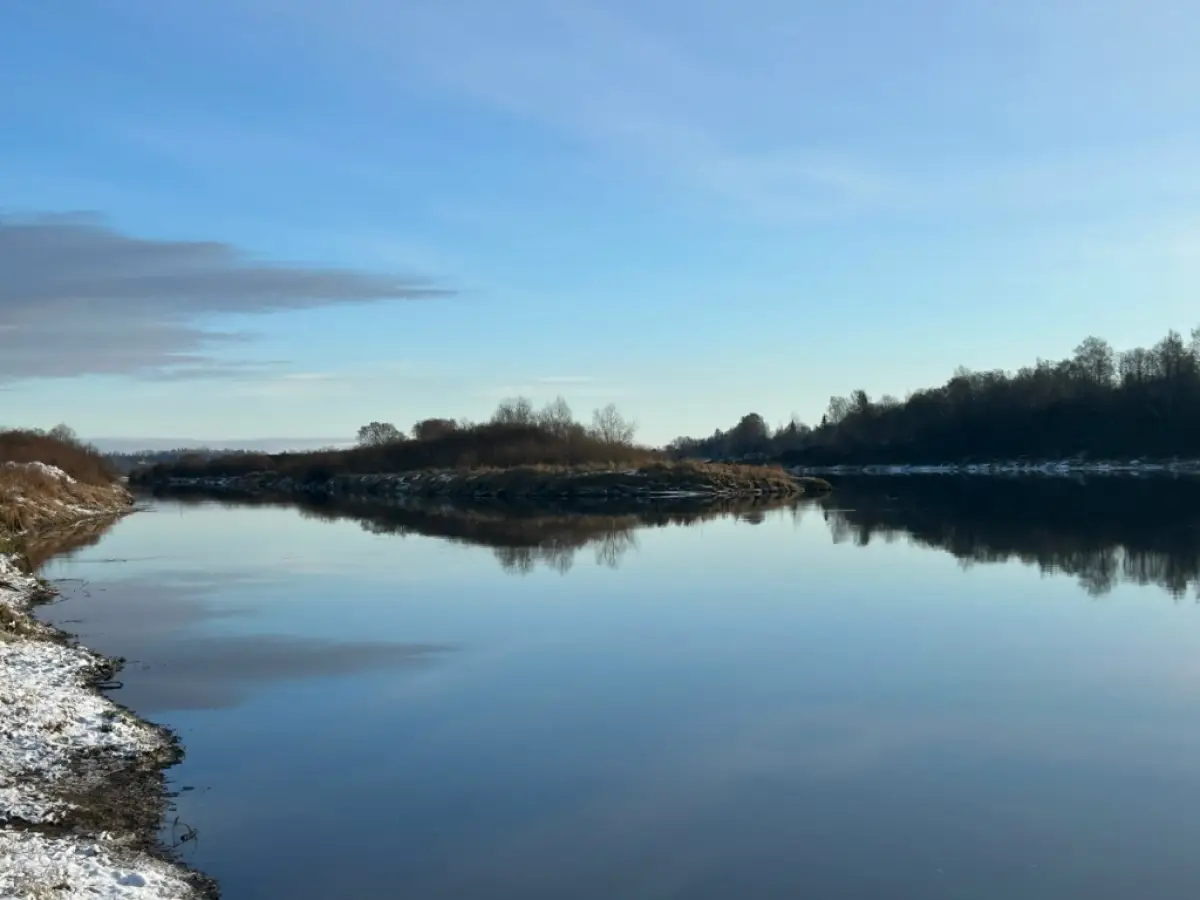 В Сольцах приступили к расчистке и углублению дна реки Шелонь