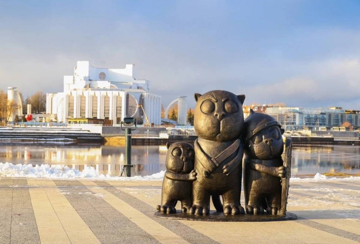 Фото: ТГ-канал Александра Дронова