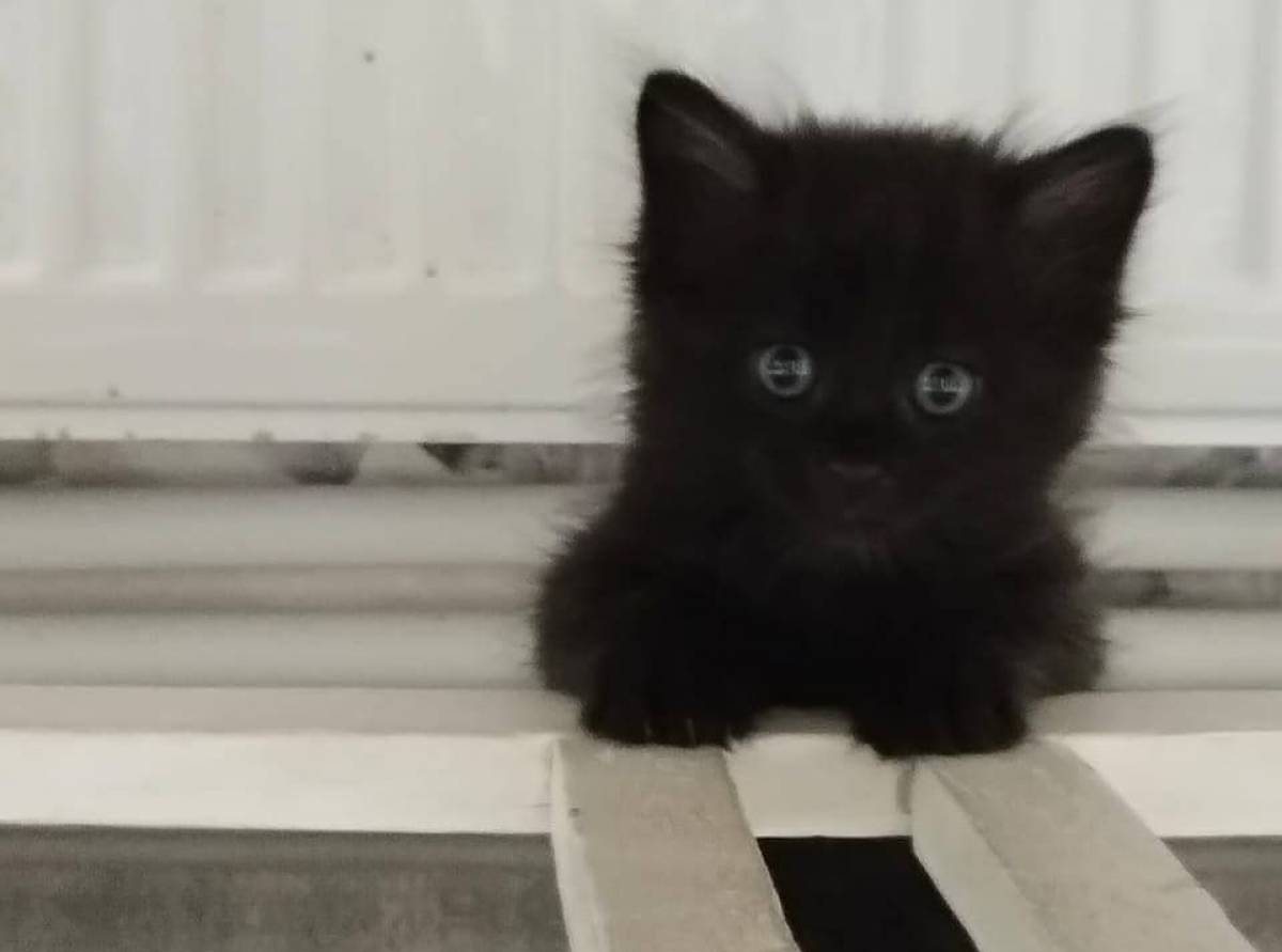 Фото УФССП по Новгородской области