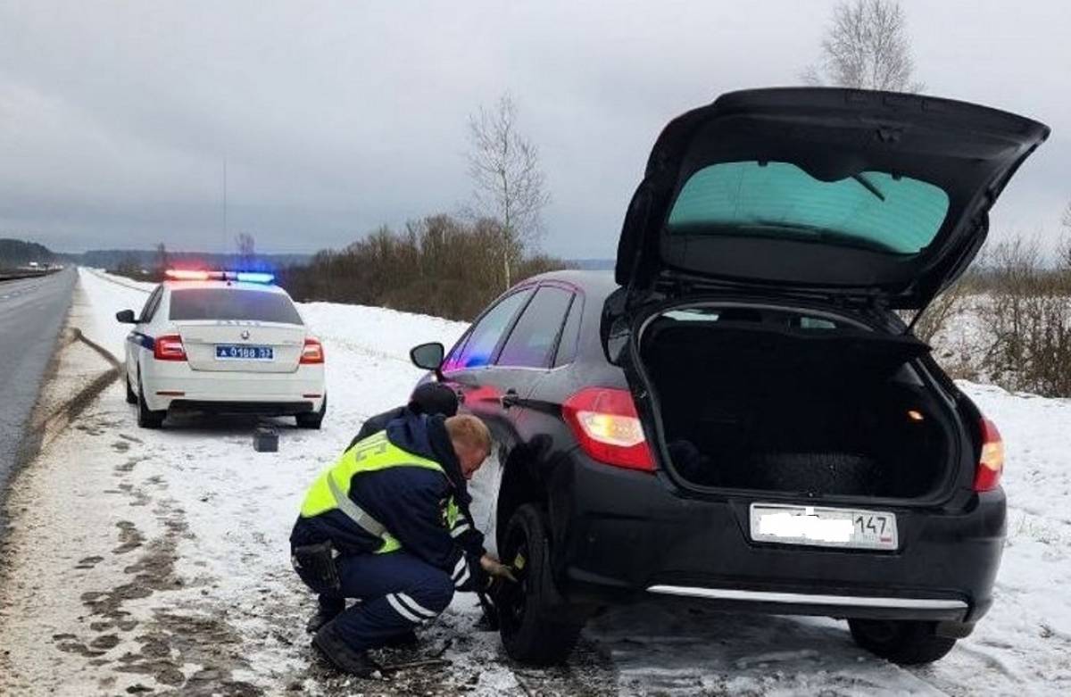Сотрудники ДПС помогли пожилой паре решить проблему с колесом на трассе М-10