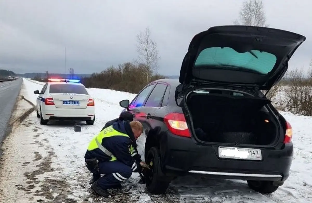 Сотрудники ДПС помогли пожилой паре решить проблему с колесом на трассе М-10