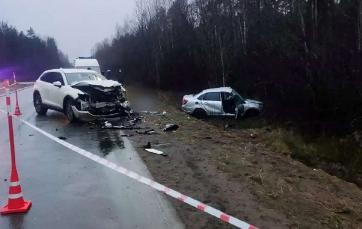 В Маловишерском округе выезд автомобиля на встречку привёл к гибели человека