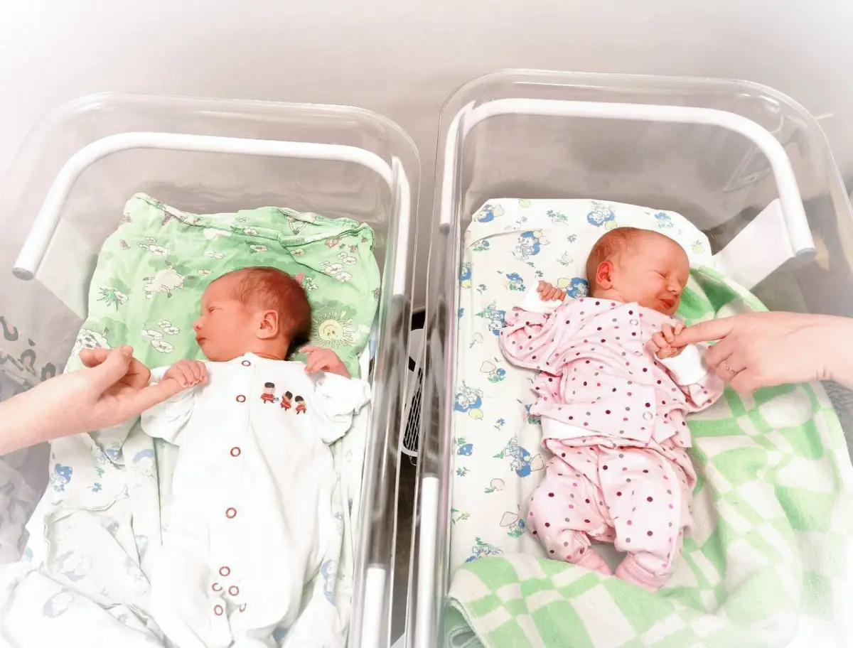 В Новгородской области усилят поддержку семей