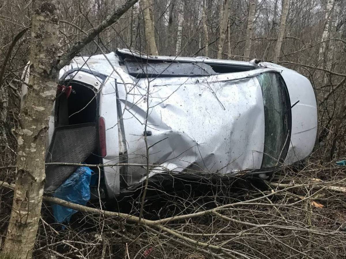 В Волотовском округе автомобиль опрокинулся в кювете. Водитель погиб